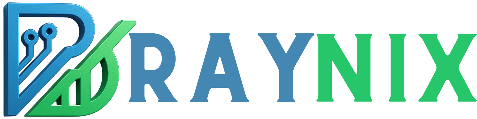braynix consulting